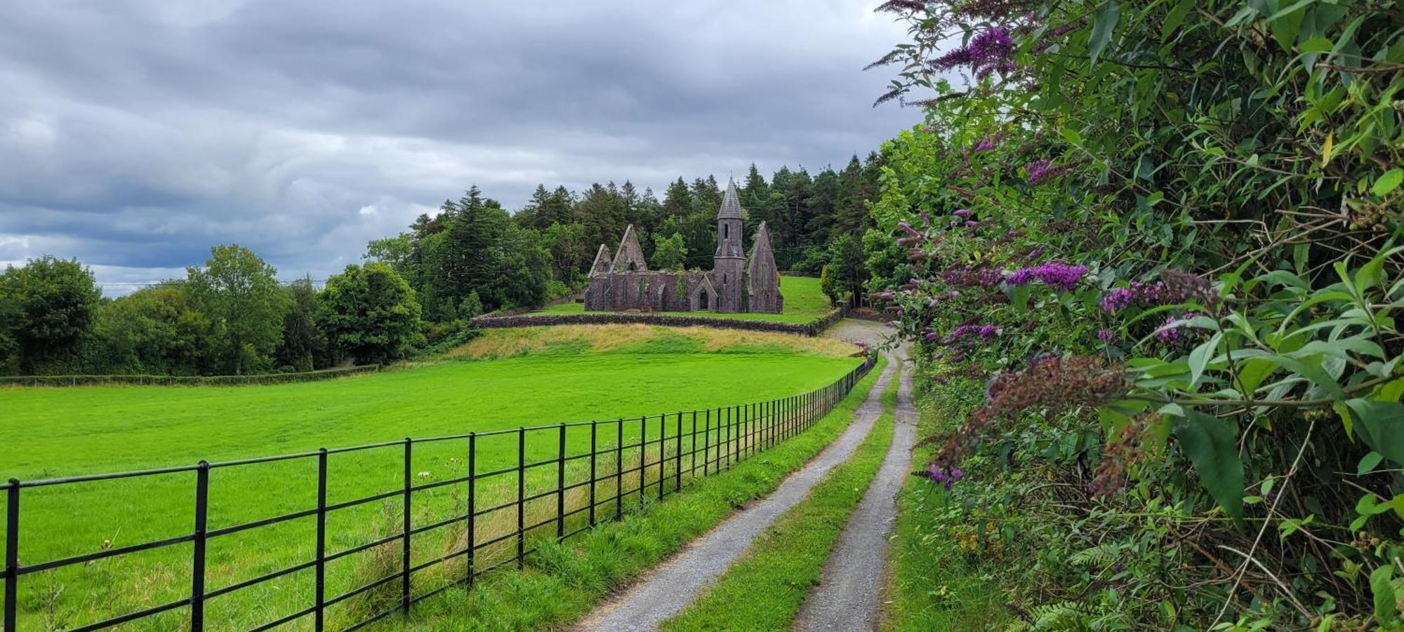 Reed Warbler Cottage Ballinrobe Dış mekan fotoğraf